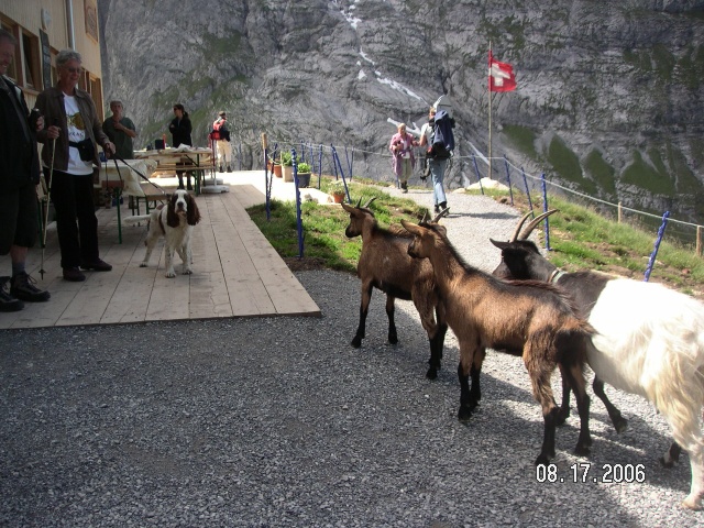 Switzerland Photo