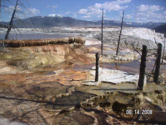 Mammoth Hot Springs